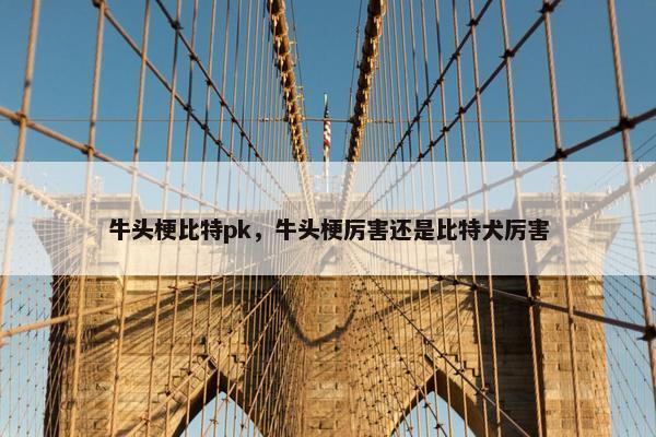 牛头梗比特pk，牛头梗厉害还是比特犬厉害