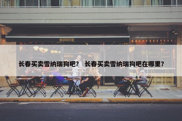 长春买卖雪纳瑞狗吧？ 长春买卖雪纳瑞狗吧在哪里？