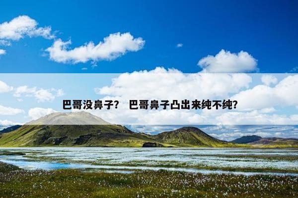 巴哥没鼻子？ 巴哥鼻子凸出来纯不纯？