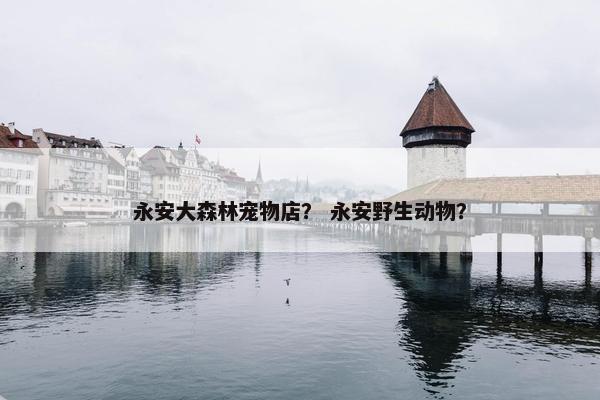 永安大森林宠物店？ 永安野生动物？