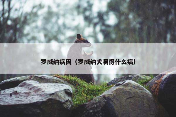罗威纳病因（罗威纳犬易得什么病）