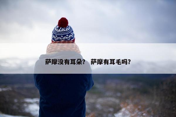 萨摩没有耳朵？ 萨摩有耳毛吗？