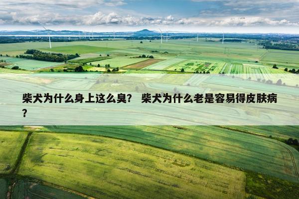柴犬为什么身上这么臭？ 柴犬为什么老是容易得皮肤病？