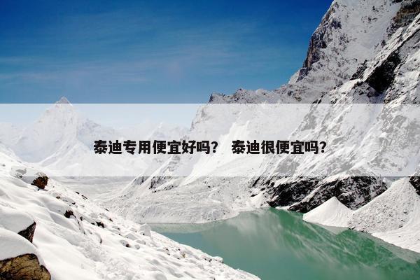 泰迪专用便宜好吗？ 泰迪很便宜吗？