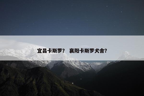 宜昌卡斯罗？ 襄阳卡斯罗犬舍？