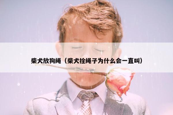 柴犬放狗绳（柴犬拴绳子为什么会一直叫）