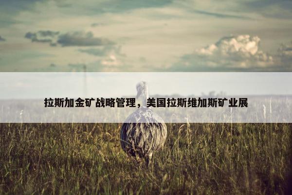 拉斯加金矿战略管理，美国拉斯维加斯矿业展