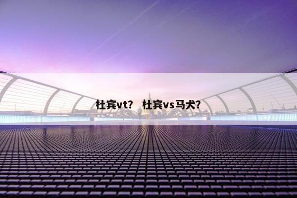 杜宾vt？ 杜宾vs马犬？