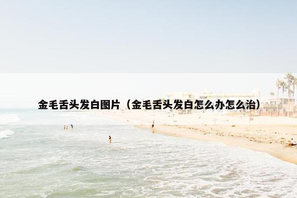 金毛舌头发白图片（金毛舌头发白怎么办怎么治）