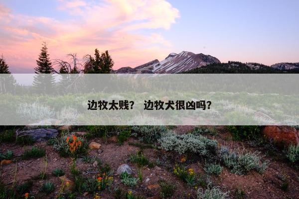 边牧太贱？ 边牧犬很凶吗？