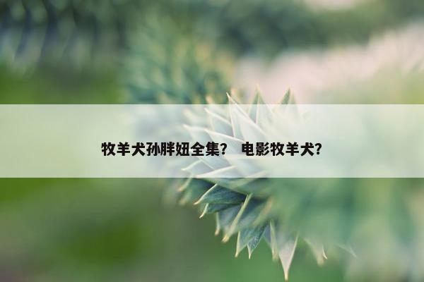 牧羊犬孙胖妞全集？ 电影牧羊犬？