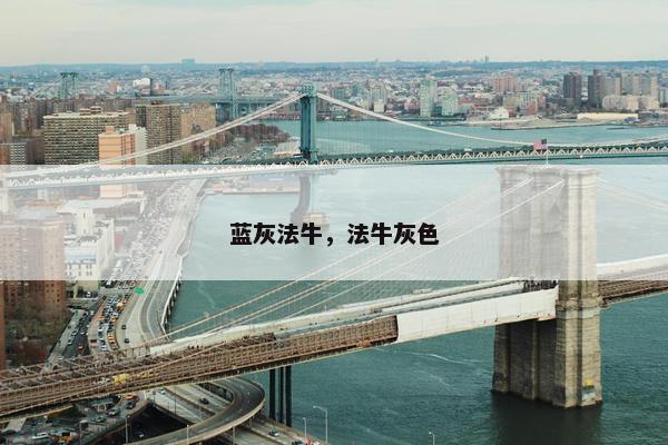 蓝灰法牛，法牛灰色
