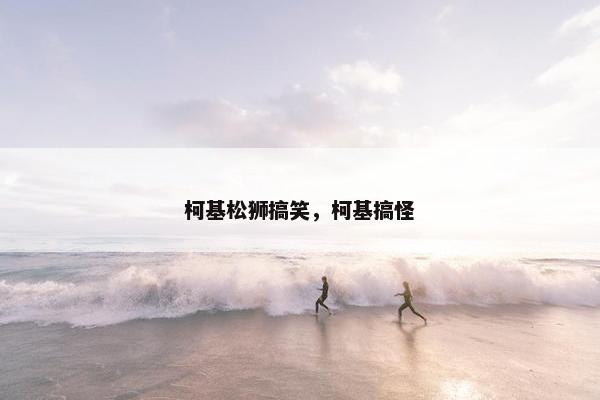 柯基松狮搞笑，柯基搞怪