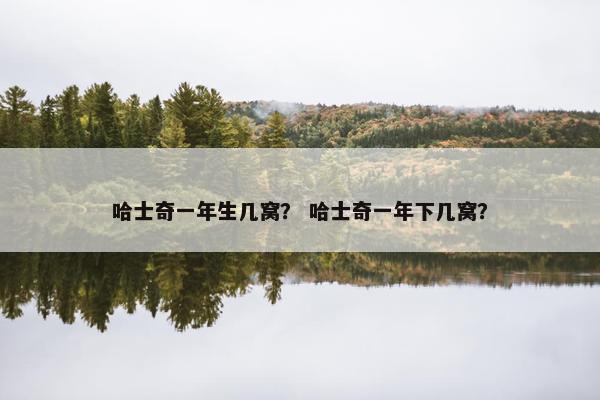 哈士奇一年生几窝？ 哈士奇一年下几窝？