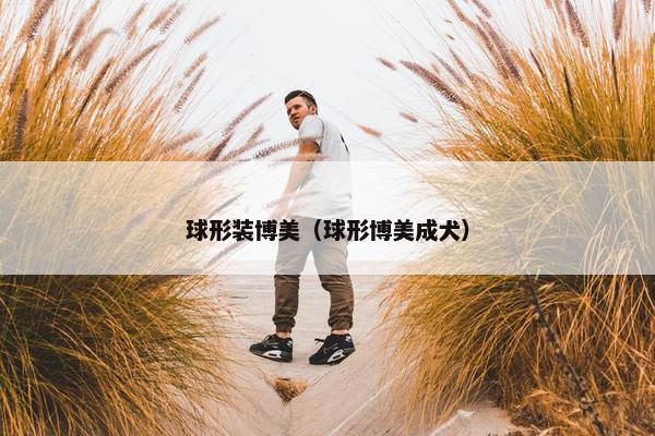 球形装博美（球形博美成犬）