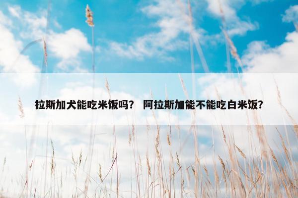拉斯加犬能吃米饭吗？ 阿拉斯加能不能吃白米饭？