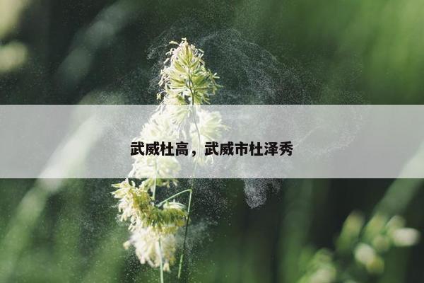 武威杜高,武威市杜泽秀