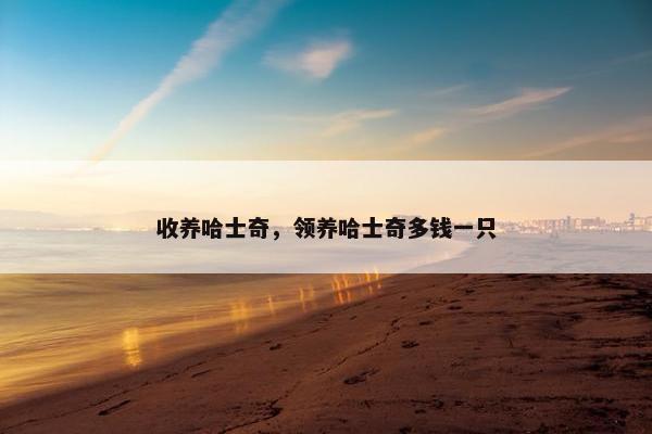 收养哈士奇，领养哈士奇多钱一只