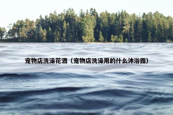 宠物店洗澡花洒（宠物店洗澡用的什么沐浴露）