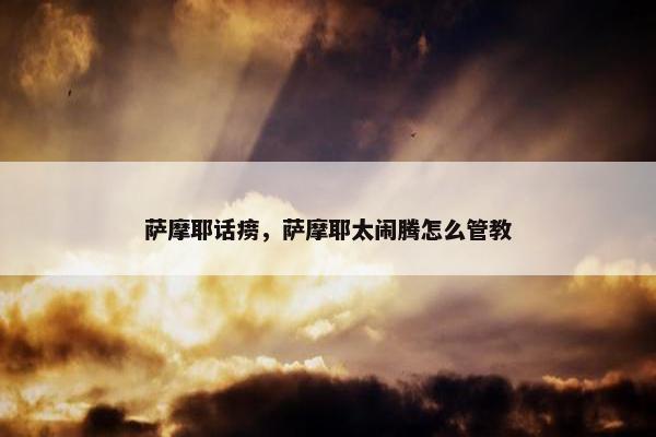 萨摩耶话痨，萨摩耶太闹腾怎么管教