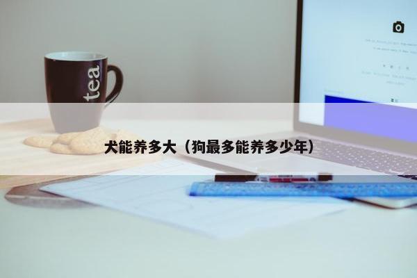 犬能养多大（狗最多能养多少年）