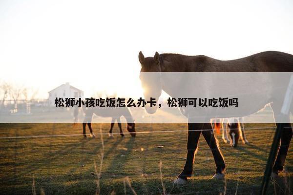 松狮小孩吃饭怎么办卡，松狮可以吃饭吗