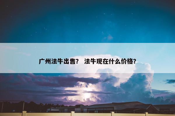 广州法牛出售？ 法牛现在什么价格？