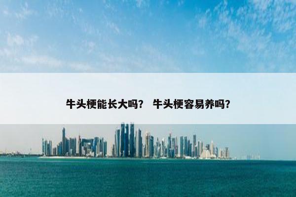 牛头梗能长大吗？ 牛头梗容易养吗？