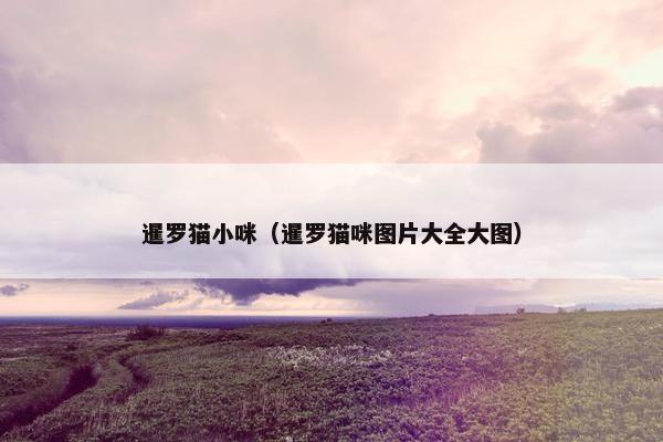 暹罗猫小咪（暹罗猫咪图片大全大图）