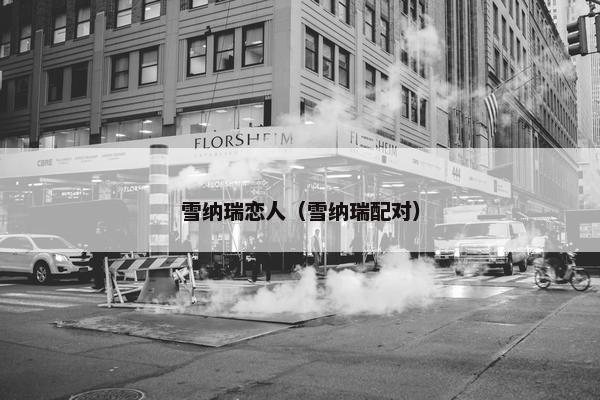 雪纳瑞恋人（雪纳瑞配对）