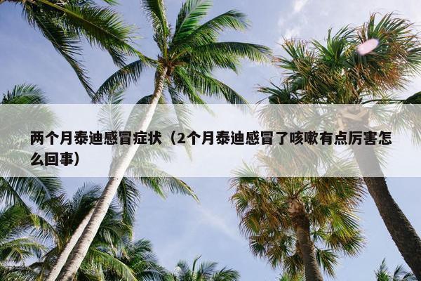 两个月泰迪感冒症状（2个月泰迪感冒了咳嗽有点厉害怎么回事）