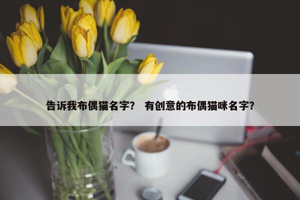 告诉我布偶猫名字？ 有创意的布偶猫咪名字？