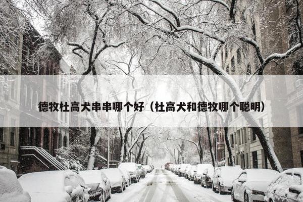 德牧杜高犬串串哪个好(杜高犬和德牧哪个聪明) 德牧杜高犬串串哪个好(杜高犬和德牧哪个聪明)