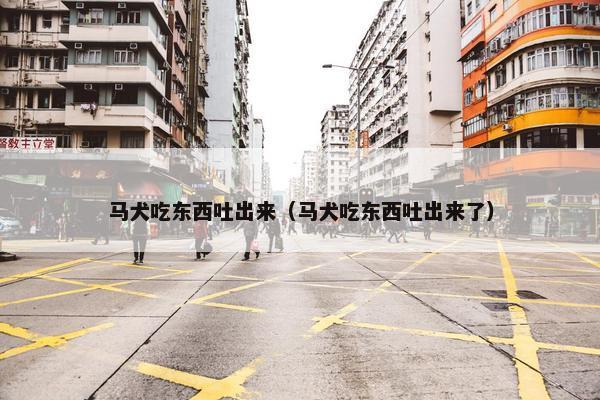 马犬吃东西吐出来（马犬吃东西吐出来了）