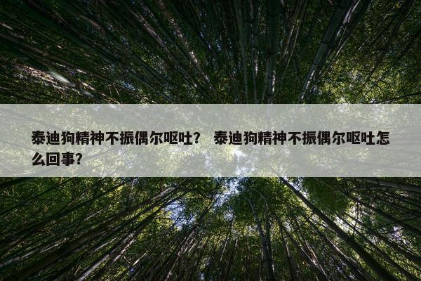 泰迪狗精神不振偶尔呕吐? 泰迪狗精神不振偶尔呕吐怎么回事? 泰迪狗精神不振偶尔呕吐? 泰迪狗精神不振偶尔呕吐怎么回事?
