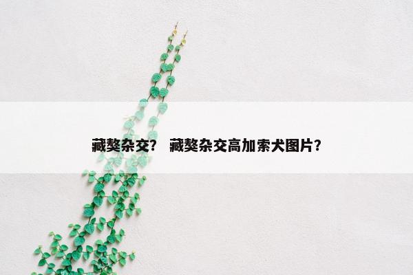 藏獒杂交？ 藏獒杂交高加索犬图片？