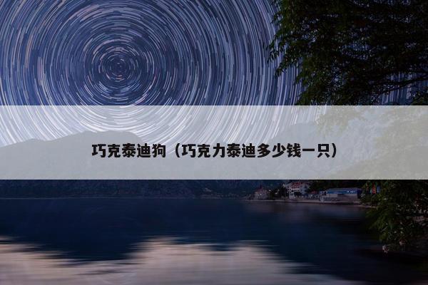 巧克泰迪狗(巧克力泰迪多少钱一只) 巧克泰迪狗(巧克力泰迪多少钱一只)