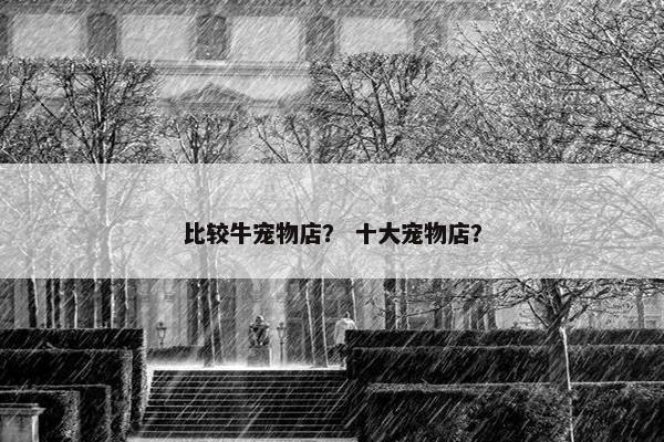 比较牛宠物店？ 十大宠物店？