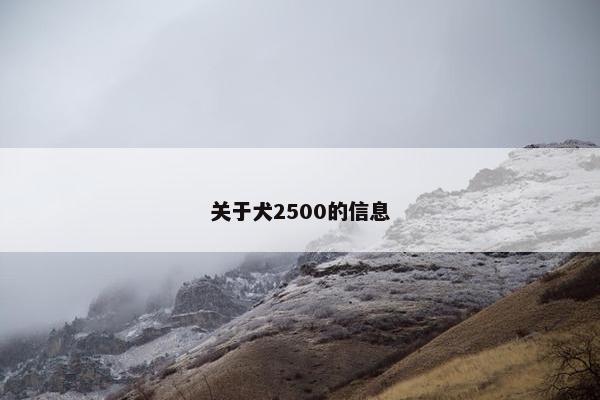 关于犬2500的信息