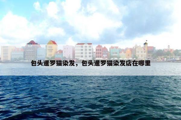 包头暹罗猫染发，包头暹罗猫染发店在哪里