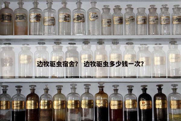 边牧驱虫宿舍？ 边牧驱虫多少钱一次？