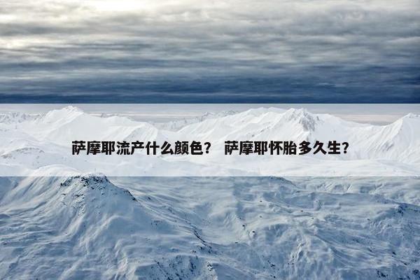 萨摩耶流产什么颜色? 萨摩耶怀胎多久生? 萨摩耶流产什么颜色? 萨摩耶怀胎多久生?