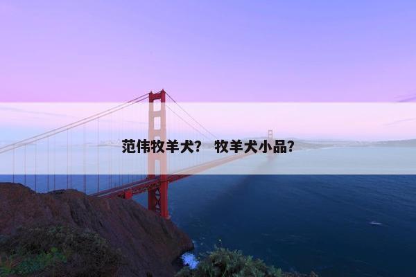 范伟牧羊犬？ 牧羊犬小品？