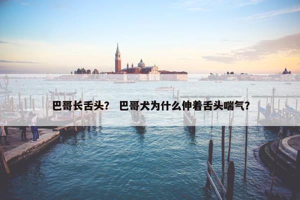 巴哥长舌头？ 巴哥犬为什么伸着舌头喘气？