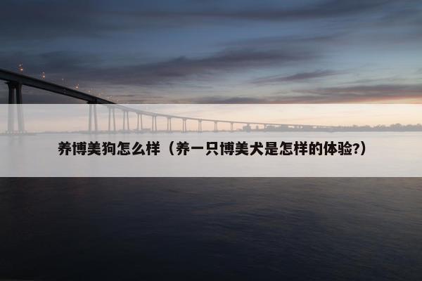 养博美狗怎么样(养一只博美犬是怎样的体验?) 养博美狗怎么样(养一只博美犬是怎样的体验?)
