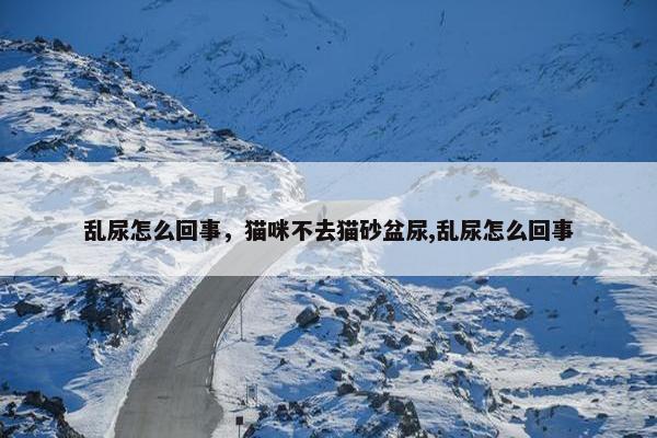 乱尿怎么回事，猫咪不去猫砂盆尿,乱尿怎么回事