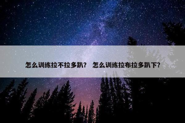 怎么训练拉不拉多趴? 怎么训练拉布拉多趴下? 怎么训练拉不拉多趴? 怎么训练拉布拉多趴下?