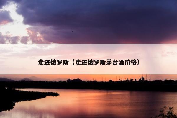 走进俄罗斯（走进俄罗斯茅台酒价格）