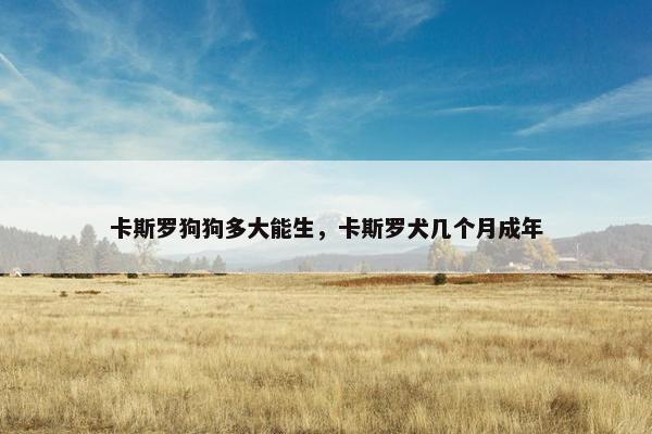 卡斯罗狗狗多大能生，卡斯罗犬几个月成年