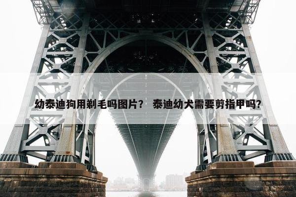 幼泰迪狗用剃毛吗图片？ 泰迪幼犬需要剪指甲吗？